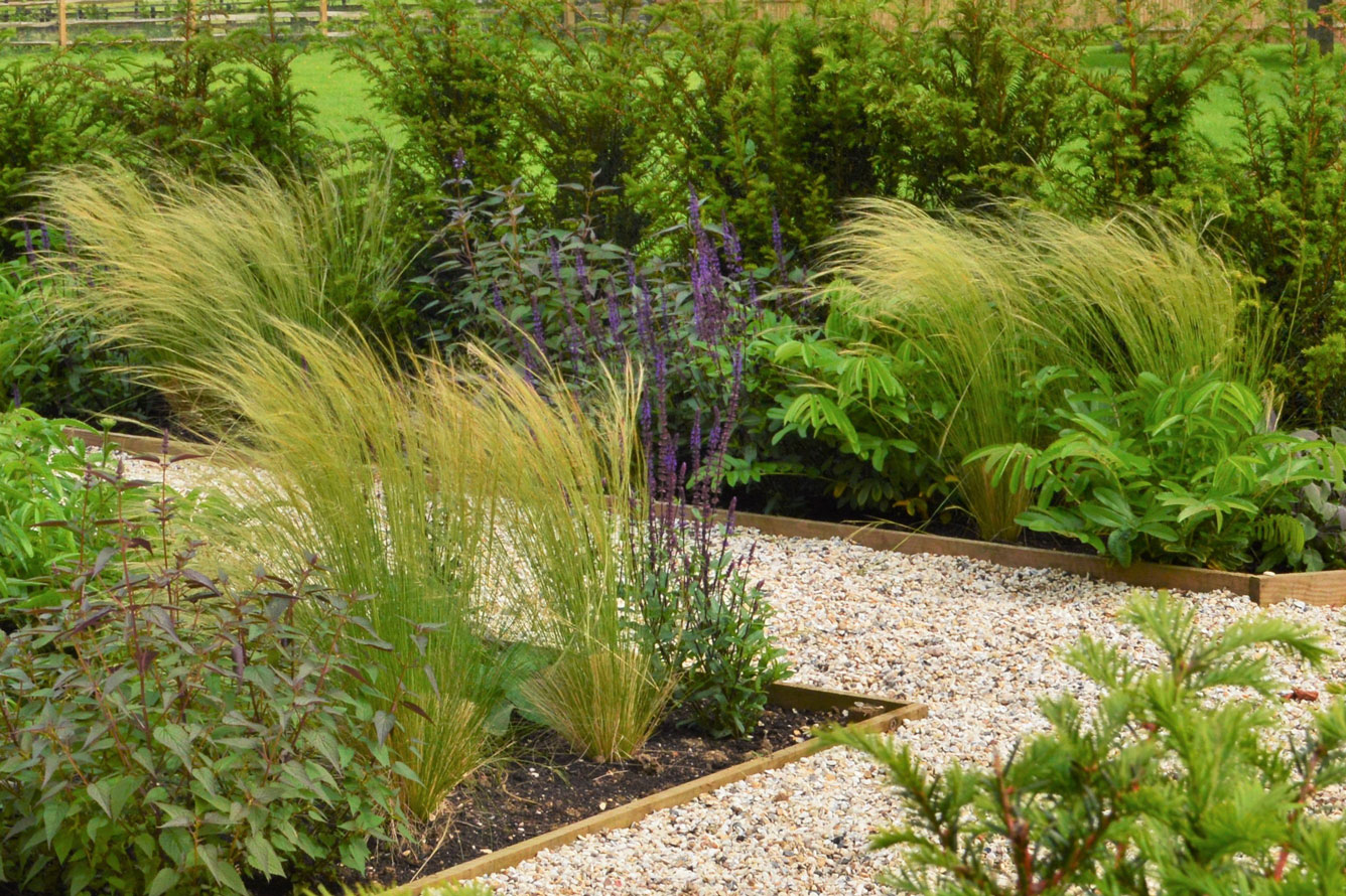 Garden design with grasses mixed with perennials